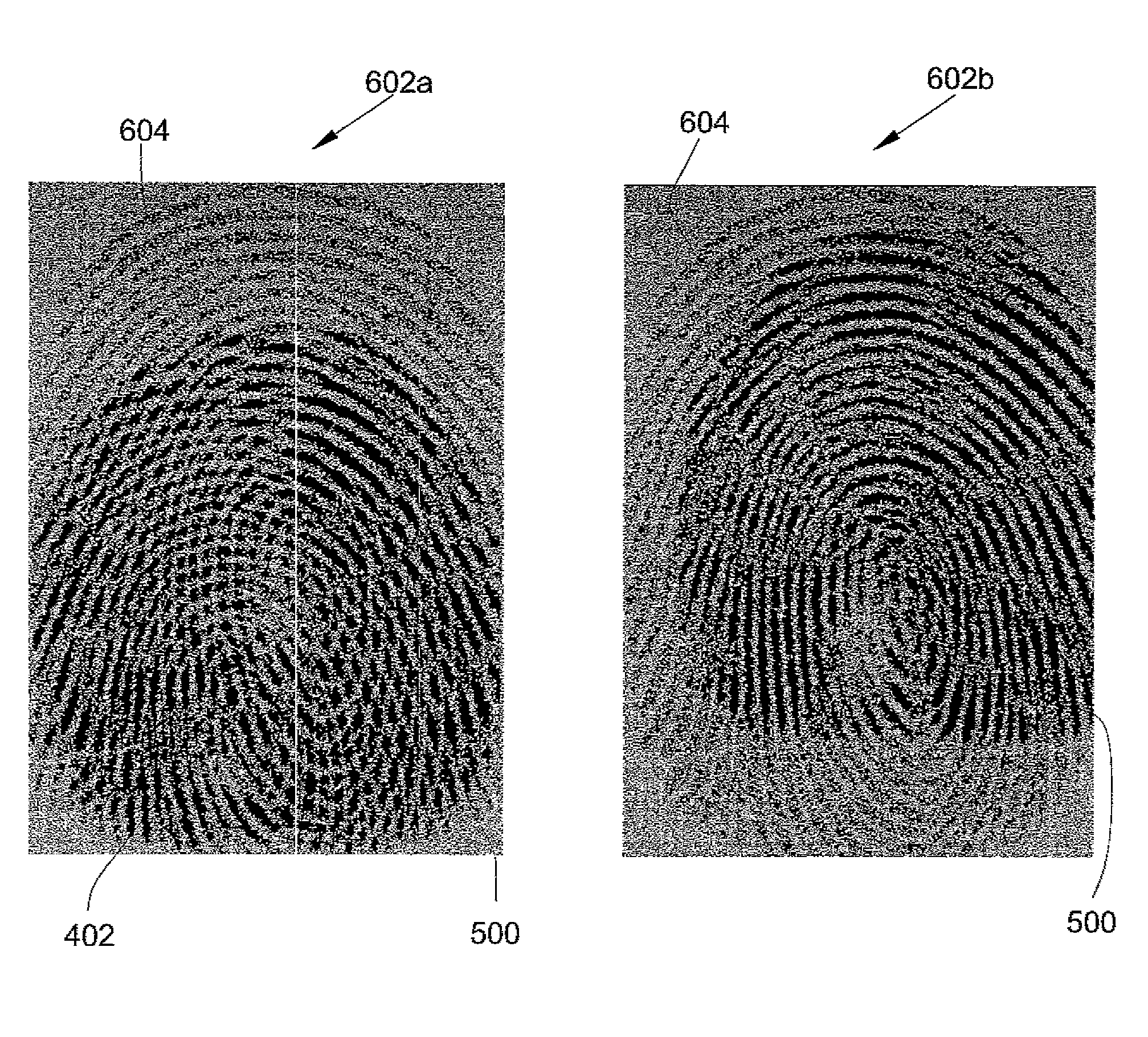 Method of indentifying an individual