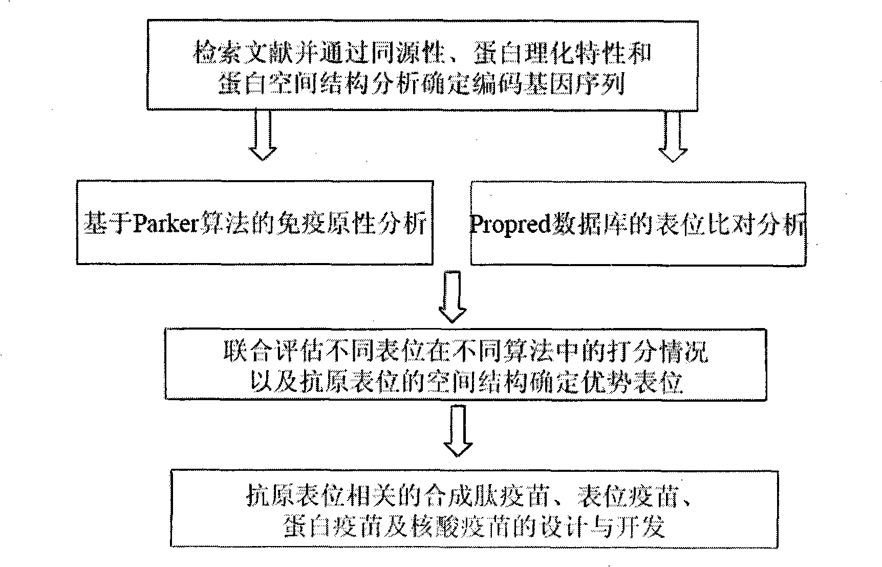 Epitope screening method capable of exciting anti-mycobacterium tuberculosis protective immunological reaction of body and uses