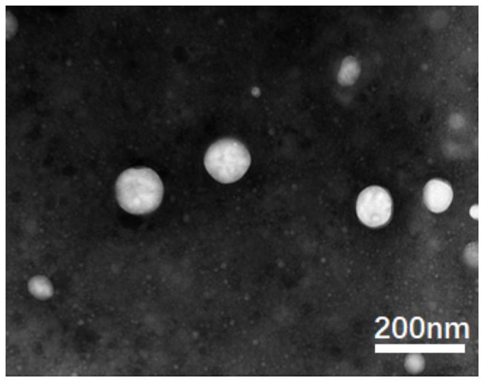 A kind of preparation method of magnetic resonance imaging contrast agent of 19f-acunotate nanoemulsion