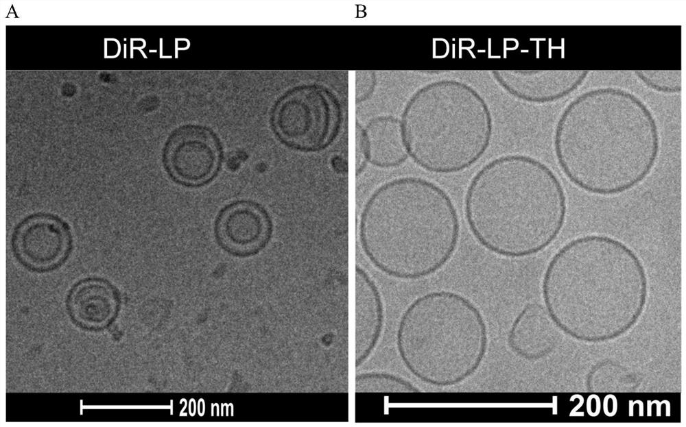 Switch type liposome nano fluorescent probe as well as preparation method and application thereof