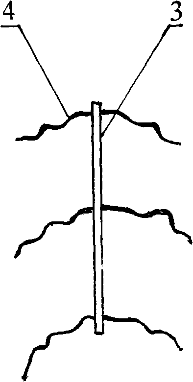 Construction structure of press bar fastening type sand capturing net for fixing moving sand dune