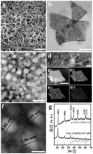 Foamed nickel-based porous NiFe hydrotalcite nanosheet as well as preparation and application thereof