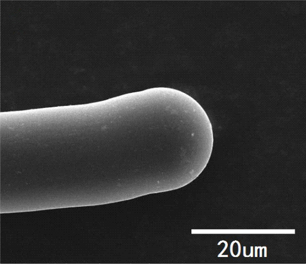 Graphite fiber and preparation method thereof