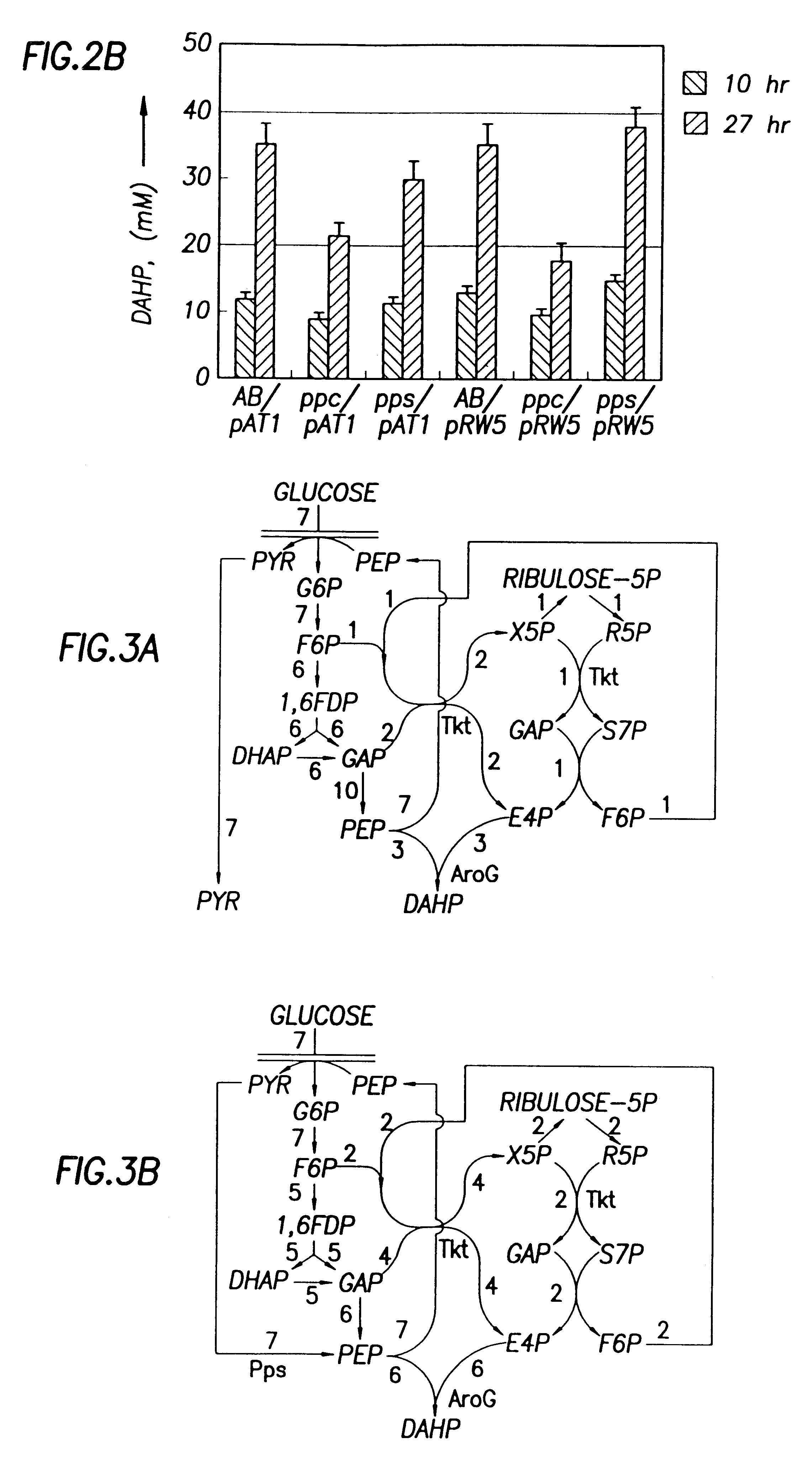 Microorganisms and methods for overproduction of DAHP by cloned PPS gene