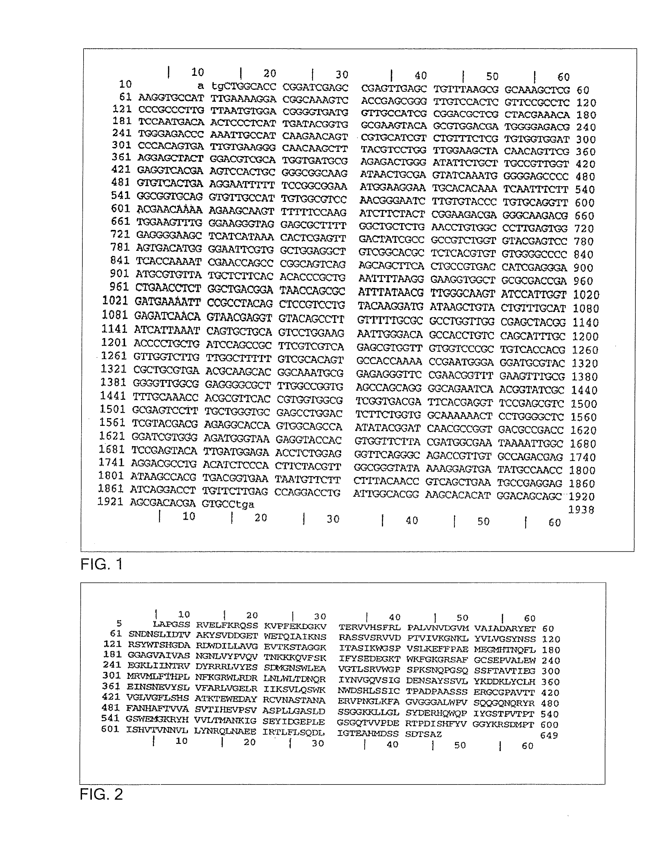 Multicomponent or monocomponent vaccine to be used against Chagas disease, pharmaceutical compositions containing them, procedure for the obtention of immunogen of said vaccines, and nucleic acid used in said procedure