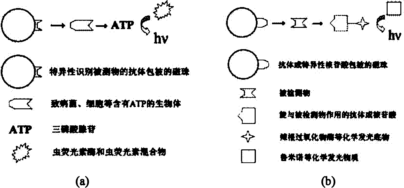 Wireless monitoring network for remains of bacteria, heavy metal, pesticide and veterinary drug in food