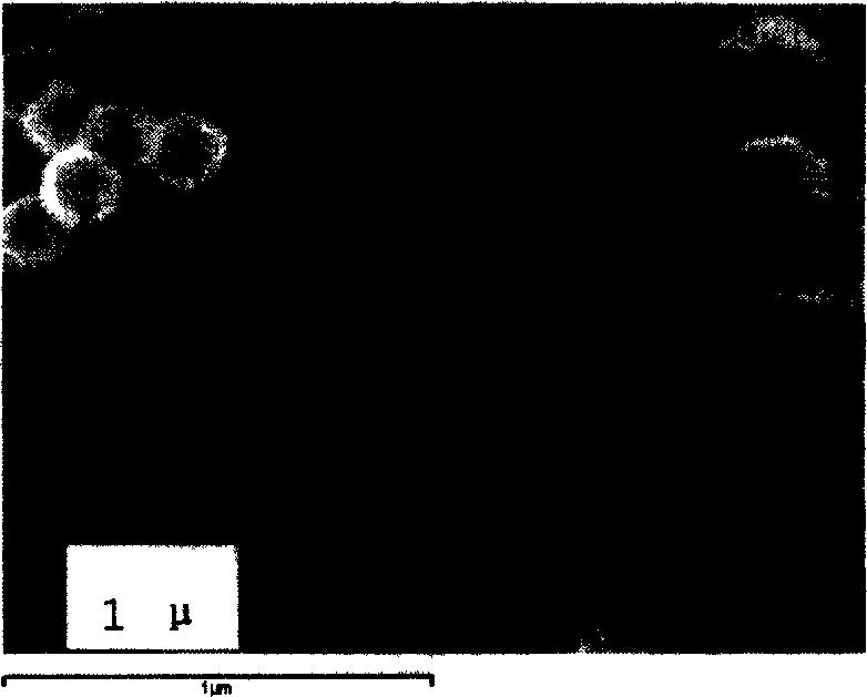 Magnetic iron oxide hollow microsphere particle having mesoporous structure and making method and uses thereof