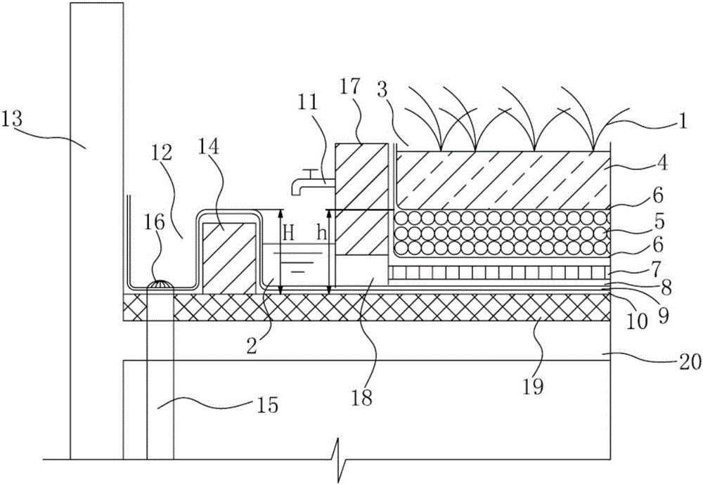 Roof water storage greening structure