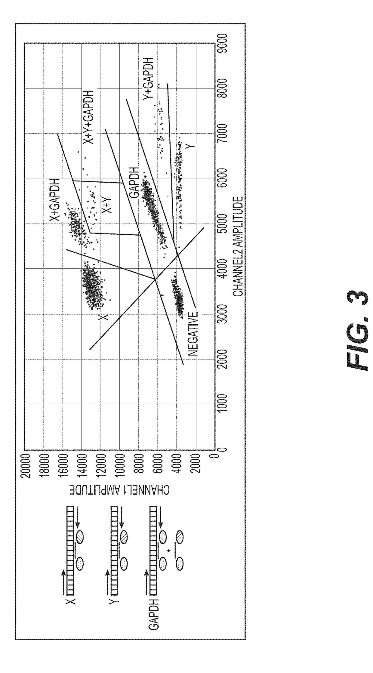 Methods and systems for assessing and/or quantifying sperm cell subpopulations bearing a specific genetic signature