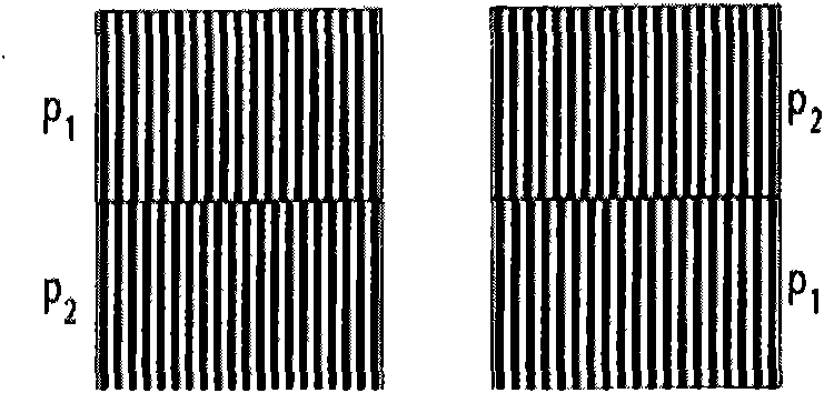 Maskless lithography device