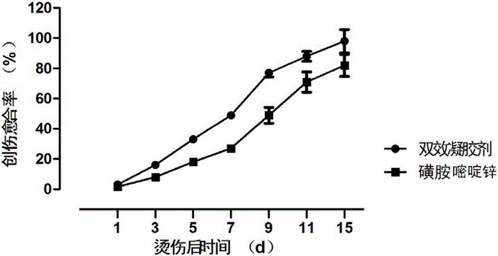 External-use drug and preparation with analgesic and antibacterial effect and preparation method thereof