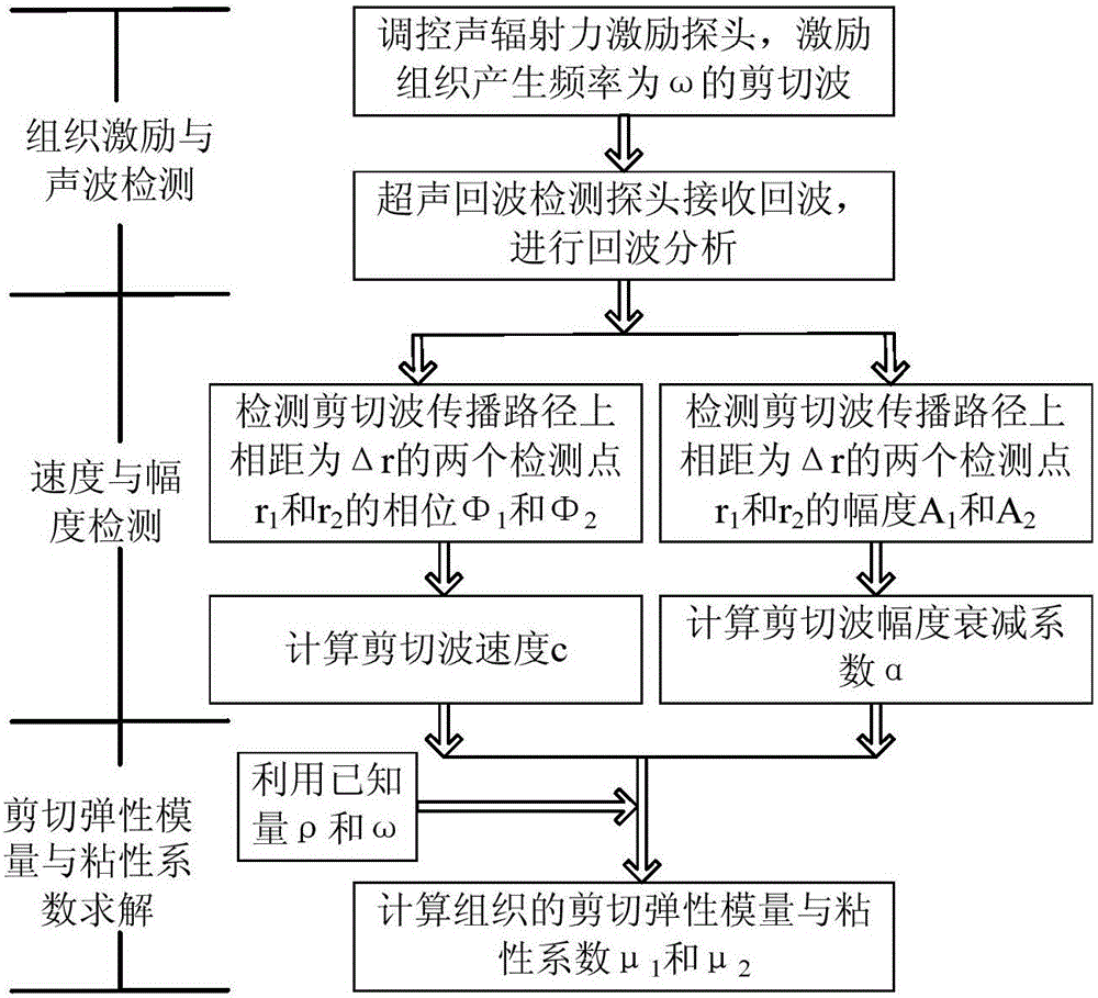 Tissue viscoelasticity measuring method based on shear wave amplitude and phase detection