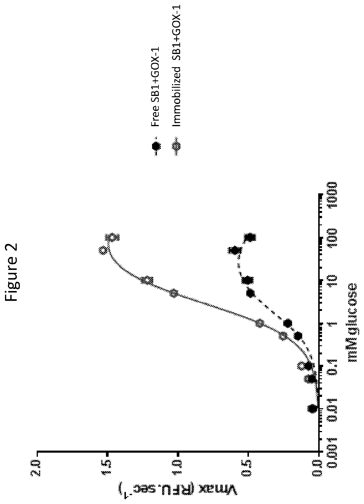 Magnetically immobilized microbiocidal enzymes