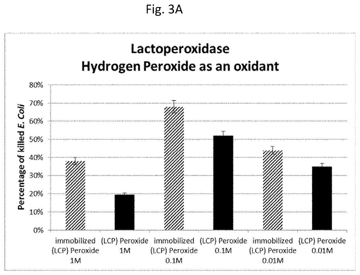 Magnetically immobilized microbiocidal enzymes