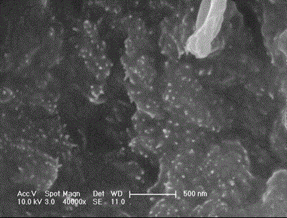 Preparation method of surface modified pine needle loaded lanthanum hydroxide phosphorus adsorbent