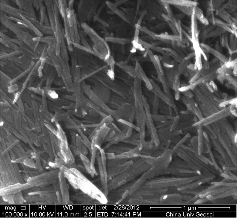 Preparation method of amorphous state carbon nano tube