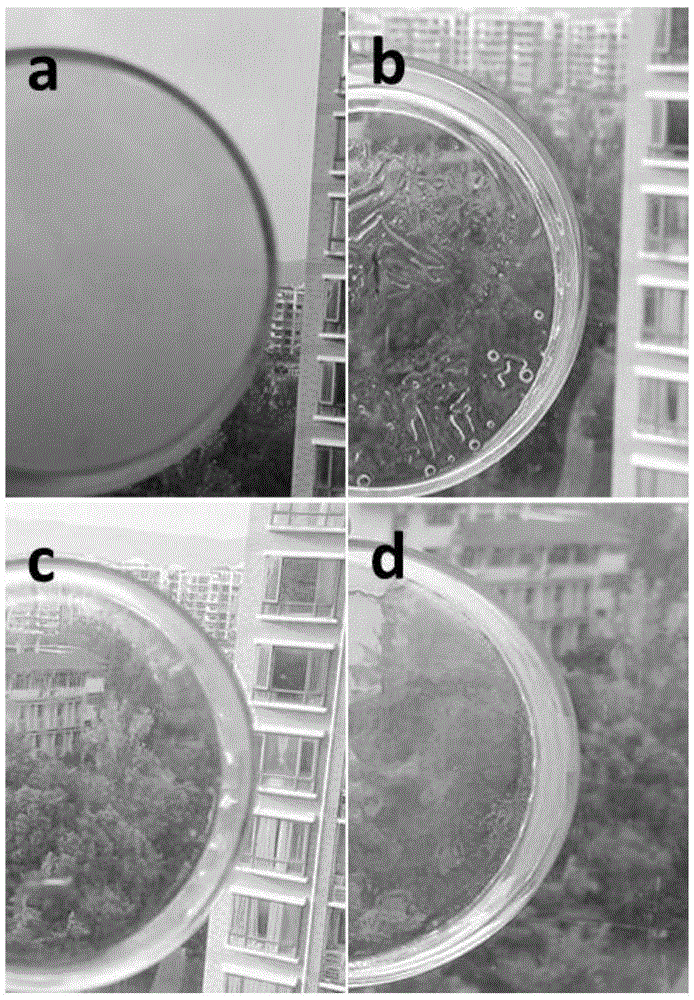 Long-acting glass antifog membrane and preparation method thereof