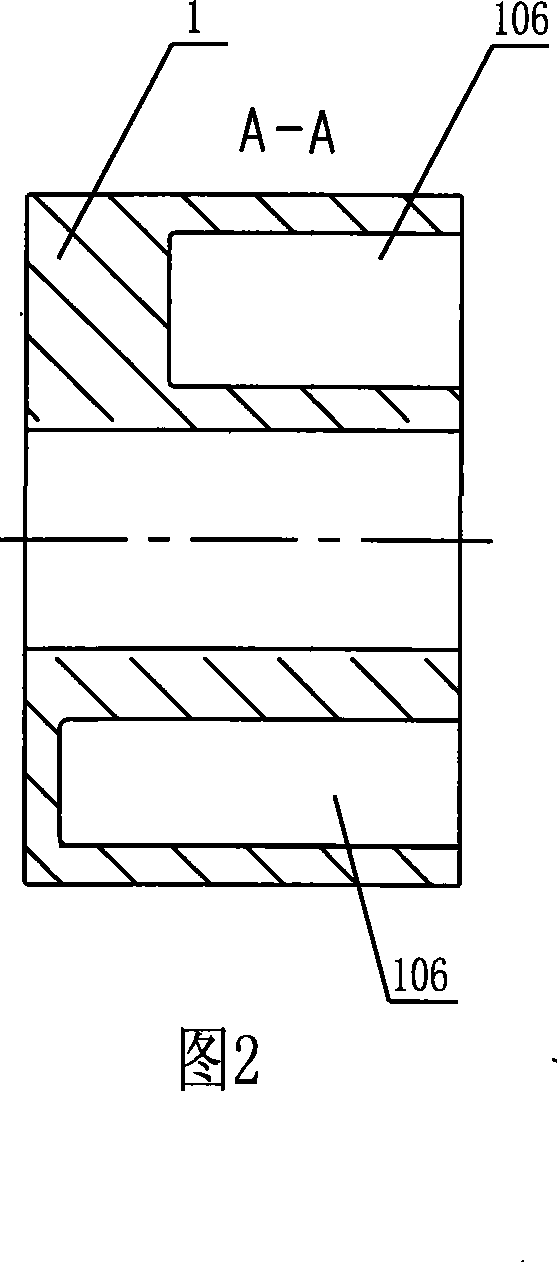 Pawl-type dry vacuum pump rotor