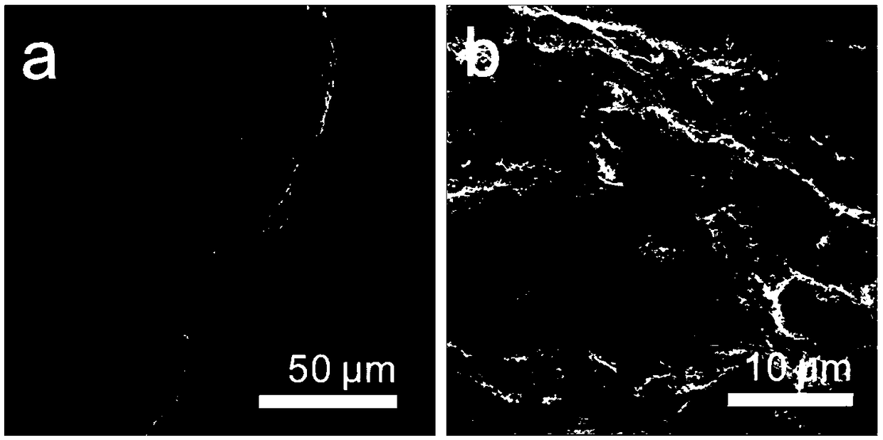 Preparation method and application of metal selenide porous frame/graphene composite fiber