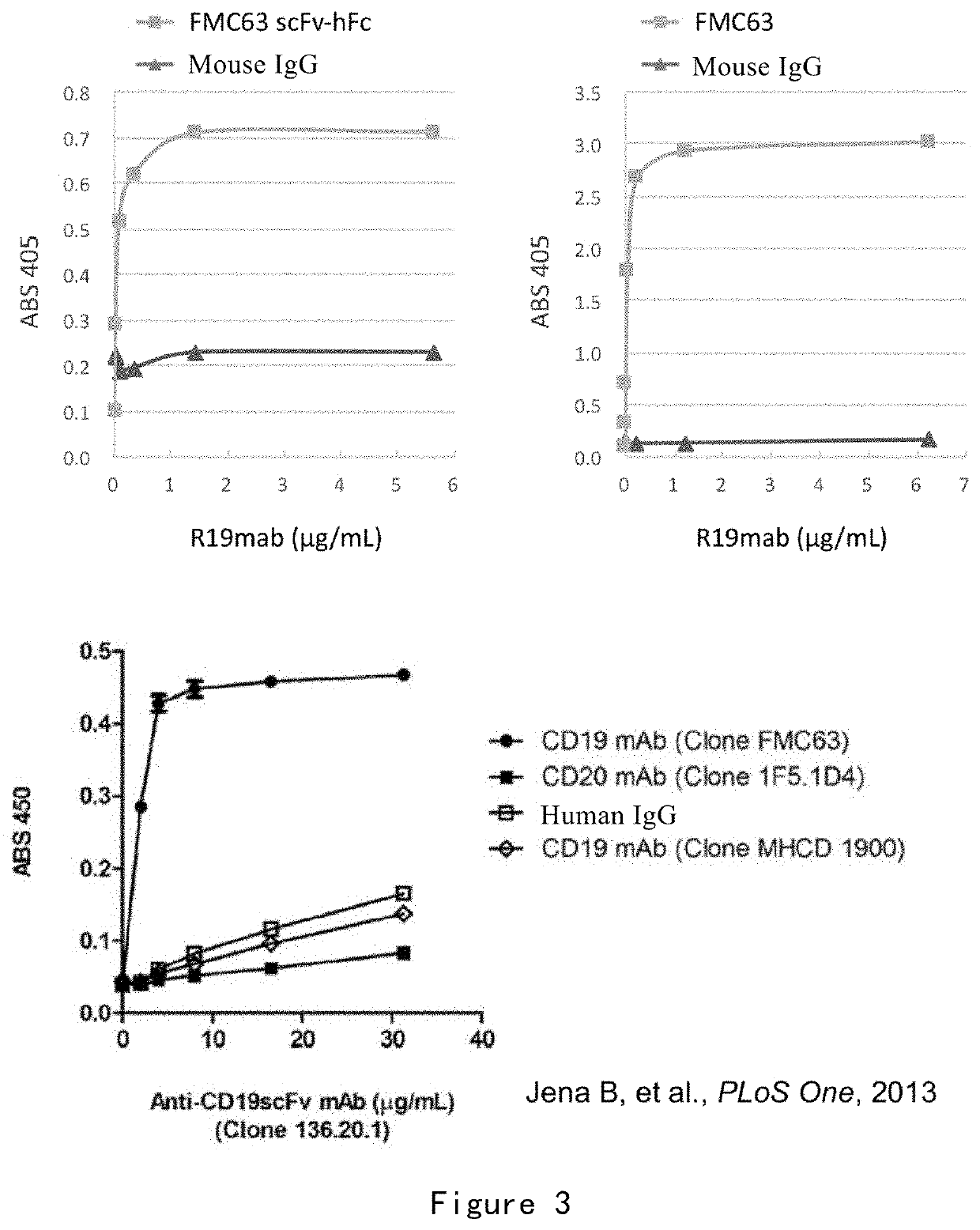 Monoclonal antibody against cd19 antibody and application thereof