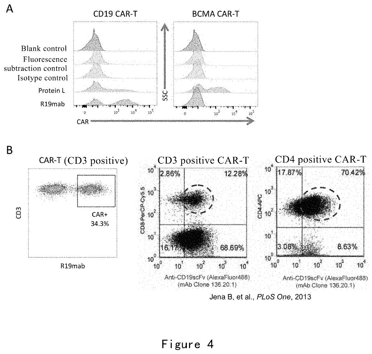 Monoclonal antibody against cd19 antibody and application thereof