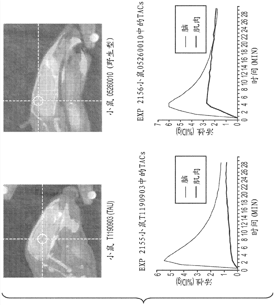 Carboline and carbazole based imaging agents for detecting neurological dysfunction