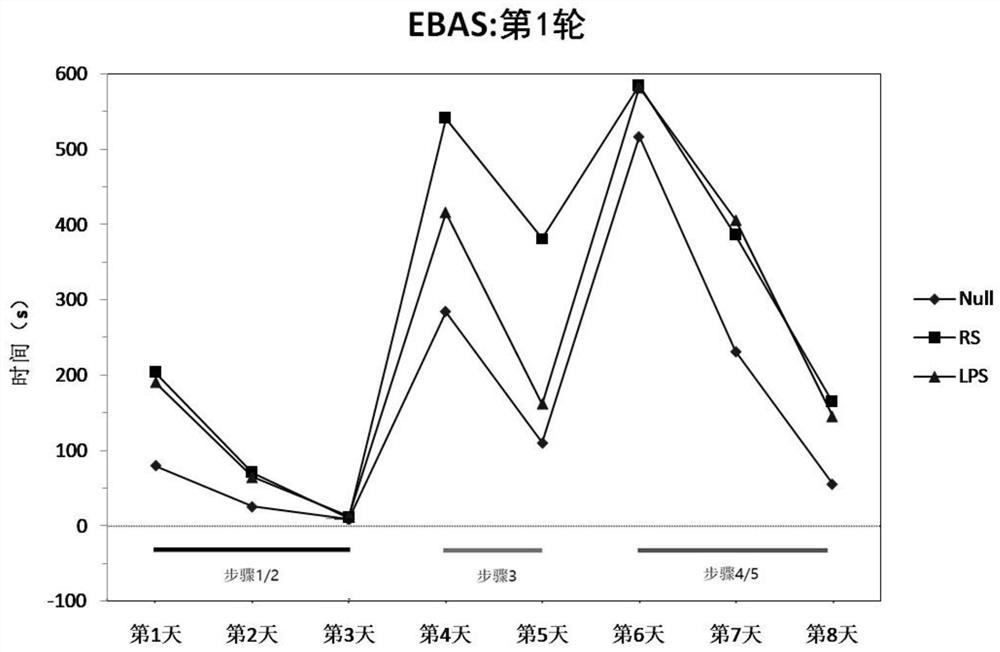 Comprehensive testing method for rat cognitive behaviors