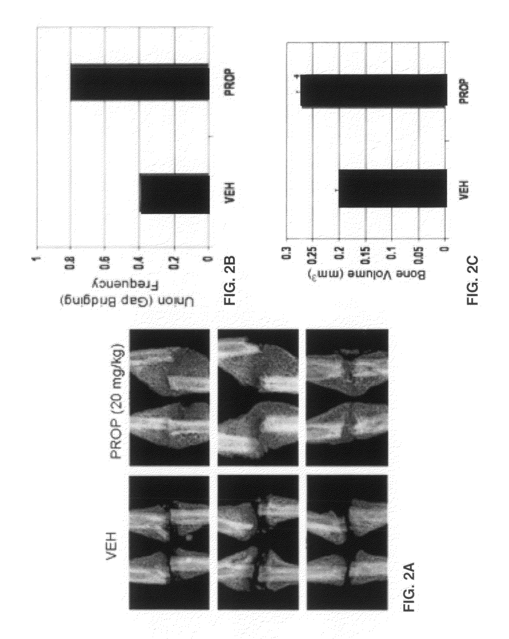 Myostatin inhibitor enhancement of musculoskeletal repair