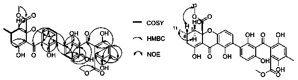 Application of rykonic acid h derived from Penicillium oxalicum in the preparation of anti-human esophageal cancer drugs