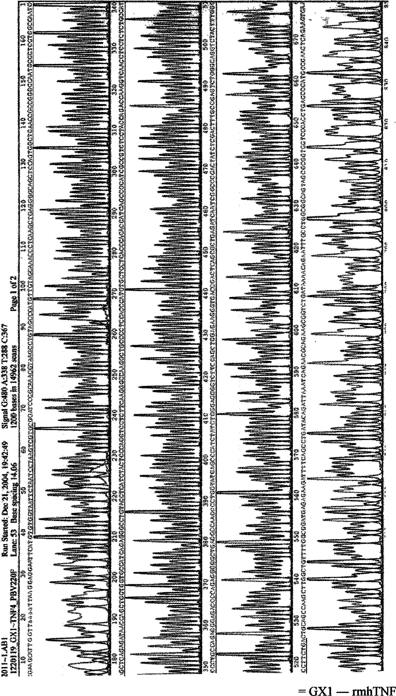 Fusion protein of tumor vascular targeted peptide and novel tumor necrosis factor