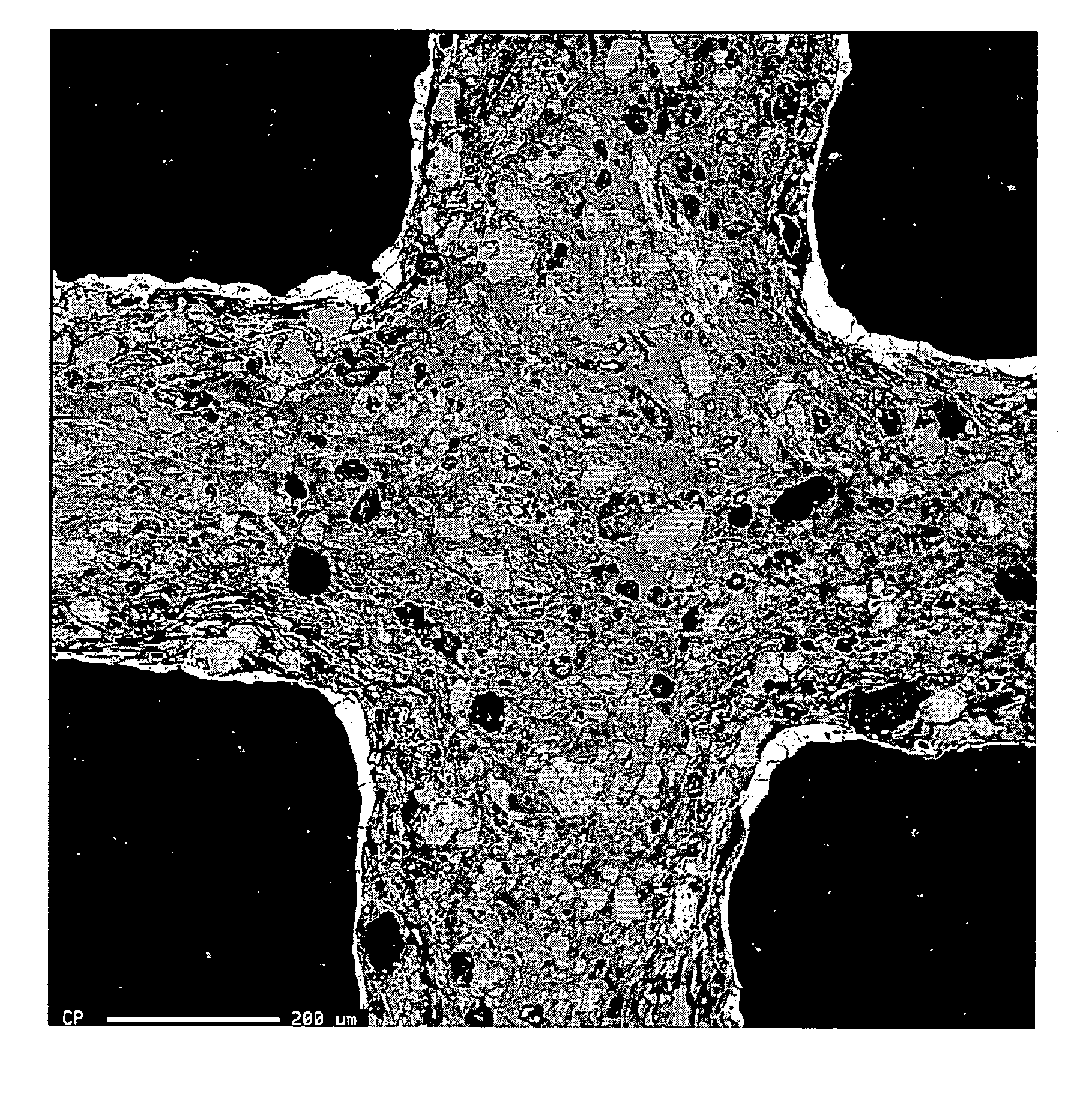 Sorbent comprising activated carbon, process for making same and use thereof