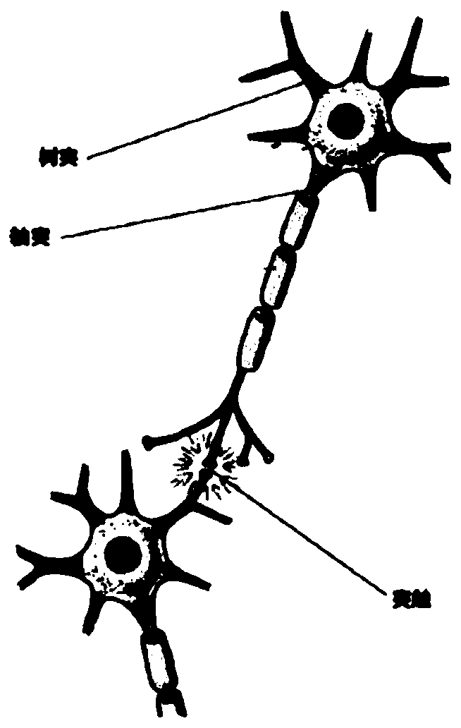 Neural network unit circuit based on memristor bridge synapses