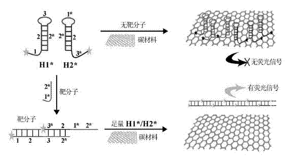 Quantitative biomolecule detection method