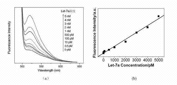 Quantitative biomolecule detection method