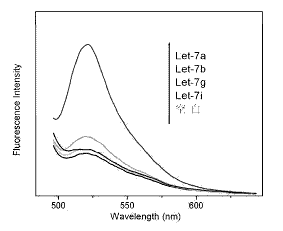 Quantitative biomolecule detection method