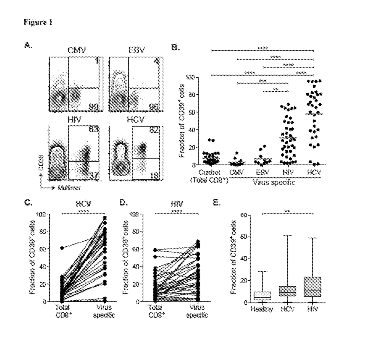 Compositions and methods for identification, assessment, prevention, and treatment of t-cell exhaustion using cd39 biomarkers and modulators