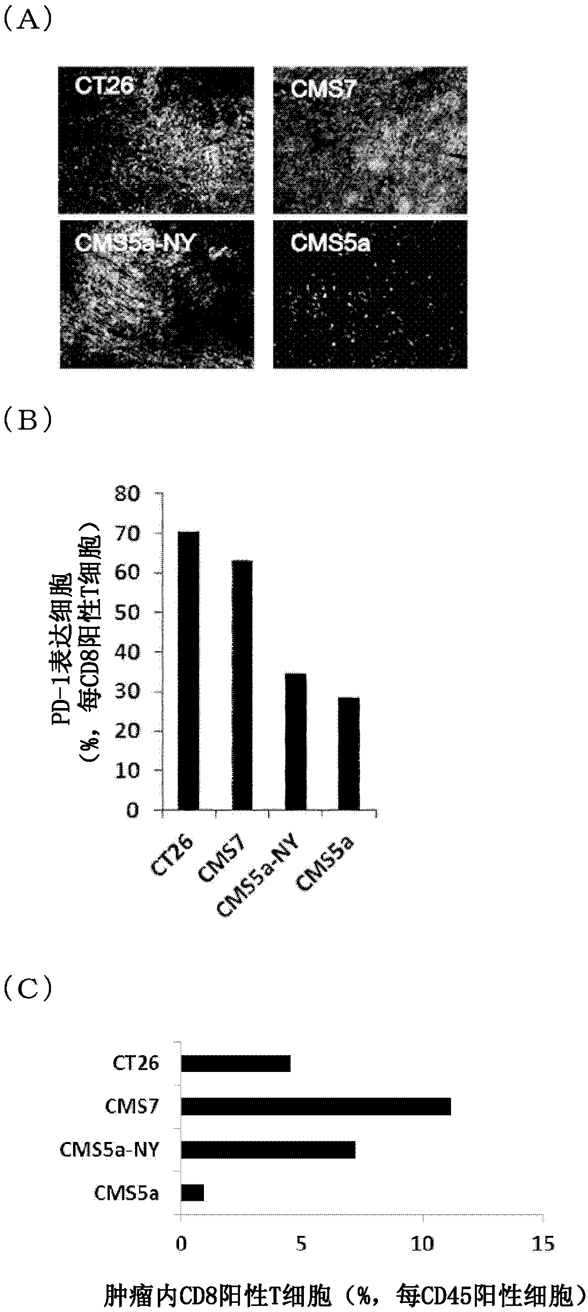 Pretreatment drug for t cell infusion therapy for immune-checkpoint inhibitor-resistant tumor