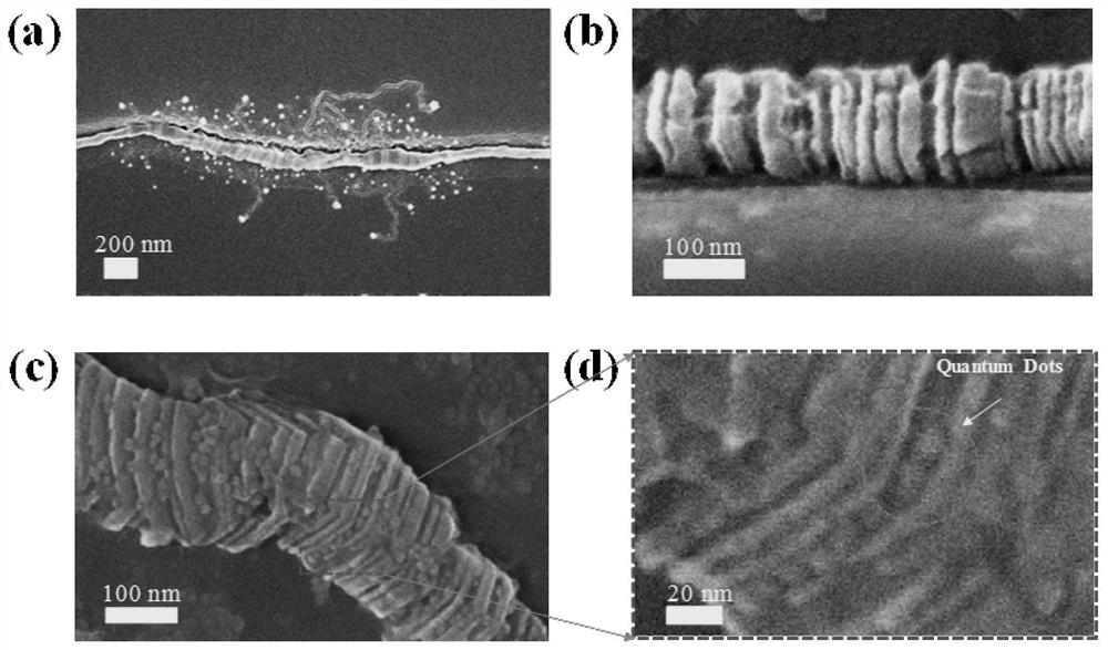 A method for assembling quantum dot lasers on planar superlattice nanowires