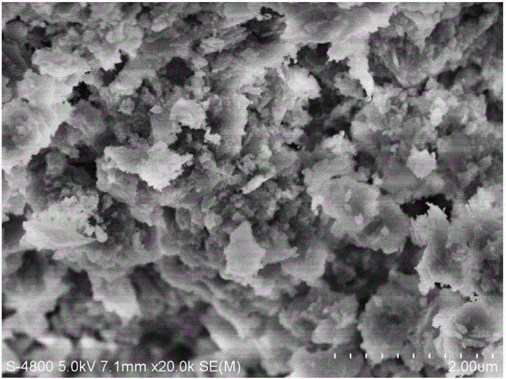 Sulfur-resistant catalytic combustion catalyst as well as preparation method and application