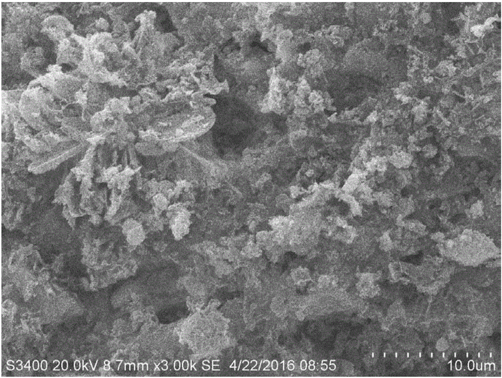 Sulfur-resistant catalytic combustion catalyst as well as preparation method and application