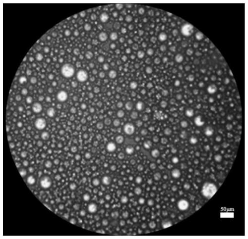 Resin emulsion plugging agent composition, preparation method thereof and application of composition in fractured stratum