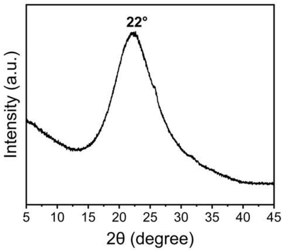 Carbon quantum dot two-photon fluorescent dye for ultrafast cell staining