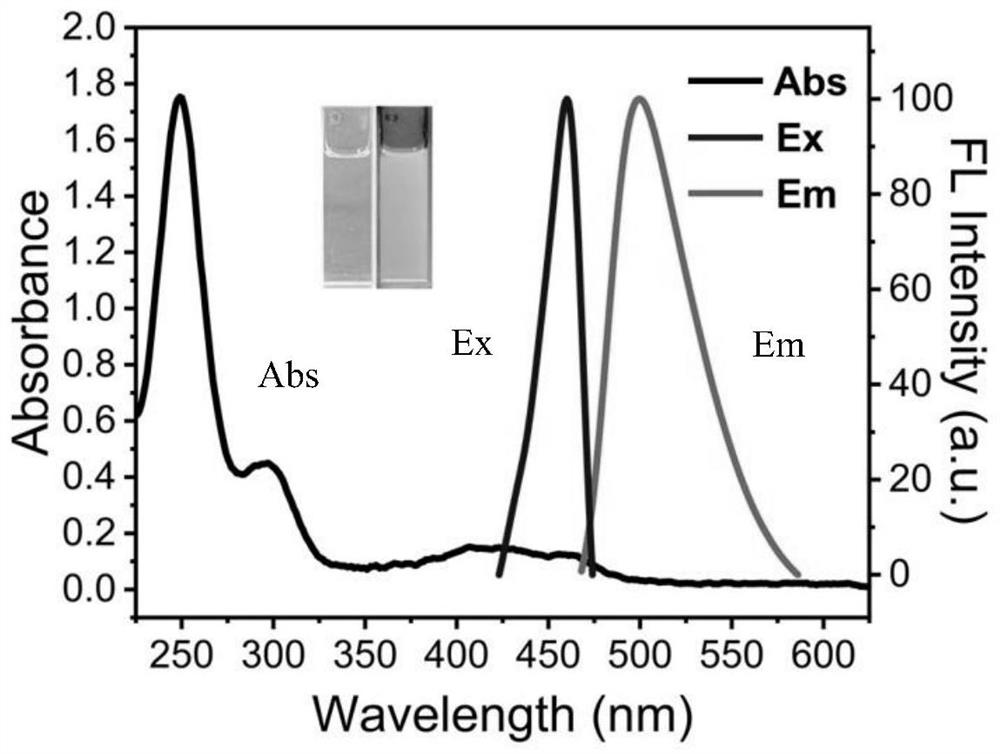 Carbon quantum dot two-photon fluorescent dye for ultrafast cell staining