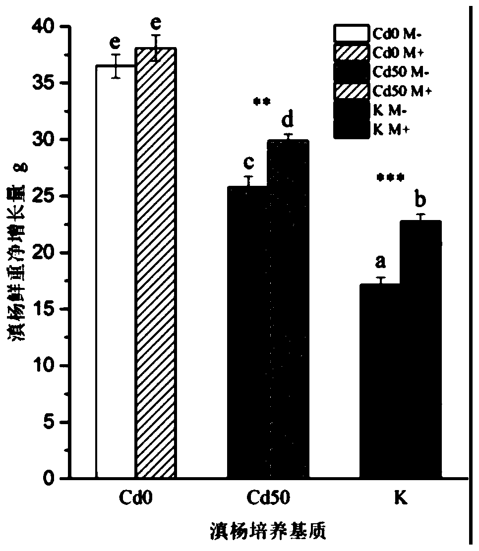 Method for promoting phytoremediation of heavy-metal-contaminated soil in mining area