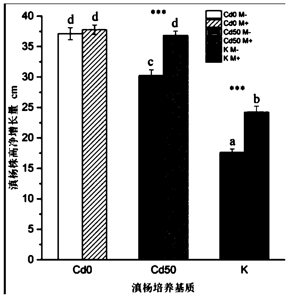 Method for promoting phytoremediation of heavy-metal-contaminated soil in mining area