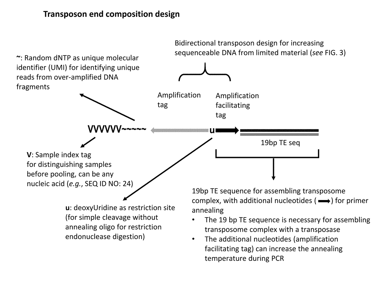 Methods for detecting protein binding sequences and tagging nucleic acids