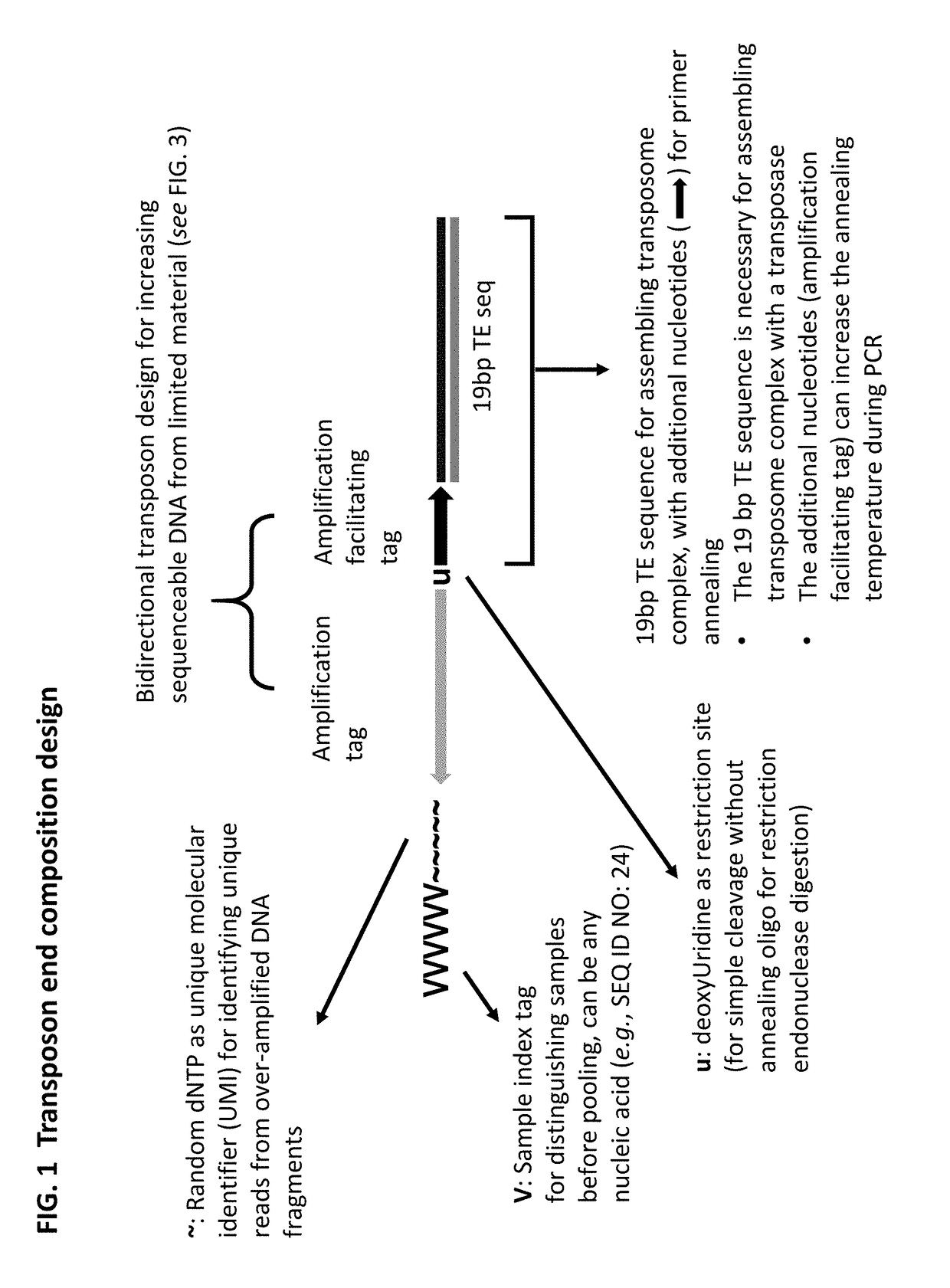 Methods for detecting protein binding sequences and tagging nucleic acids