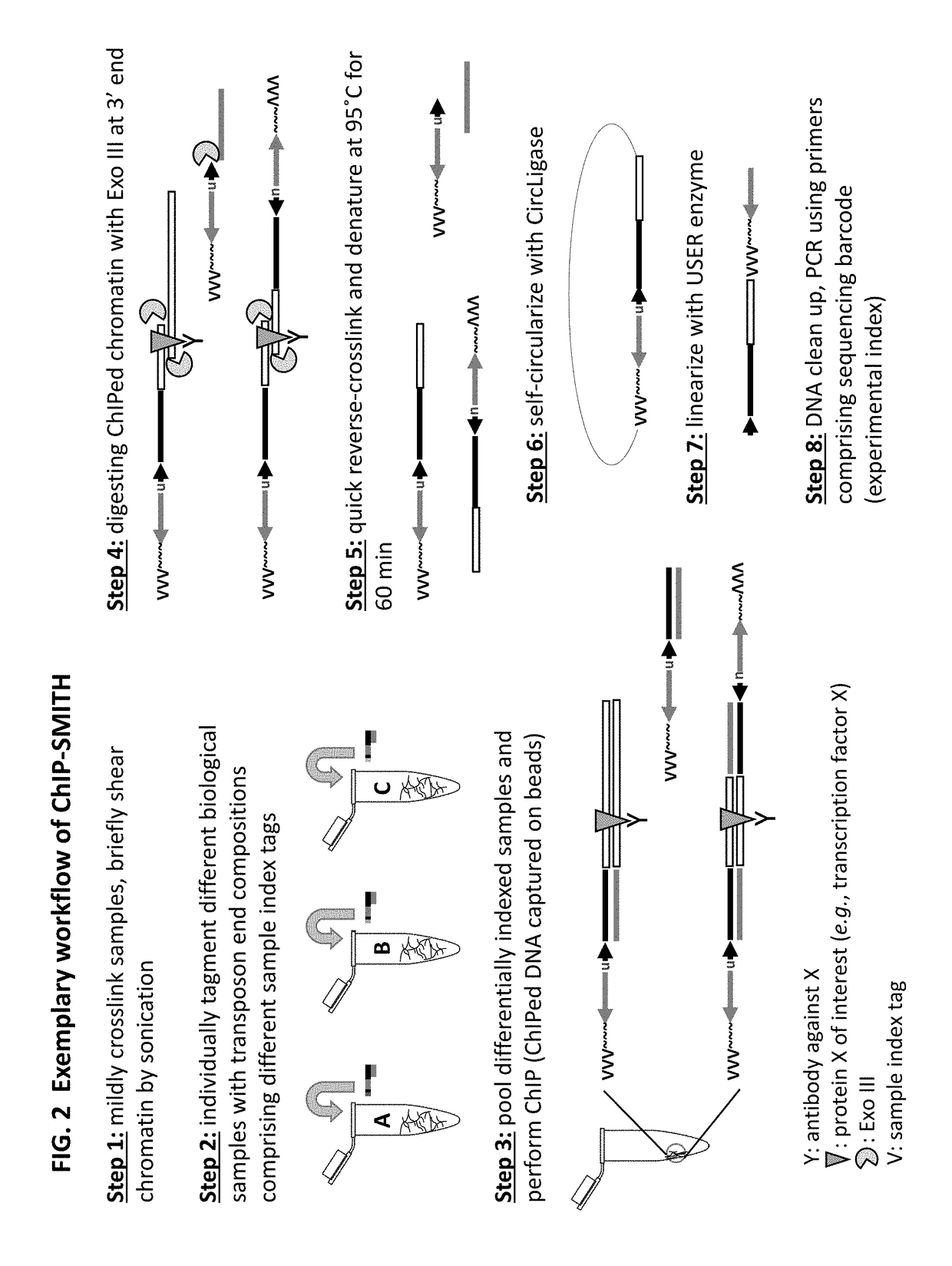 Methods for detecting protein binding sequences and tagging nucleic acids