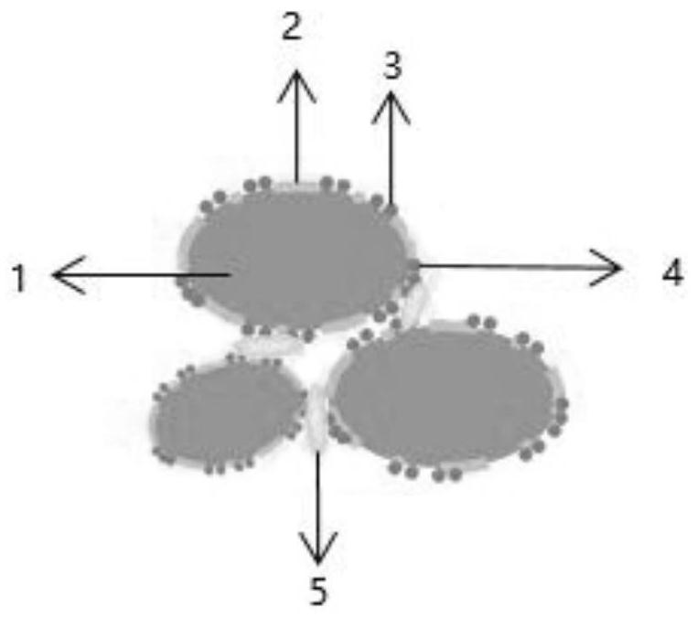 Positive plate, positive plate and solid-state battery