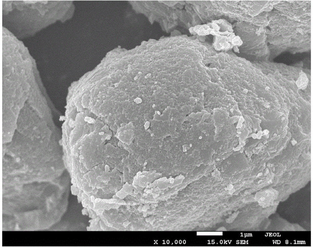 Lithium ion battery negative electrode active material and preparation thereof, lithium ion battery negative electrode material, lithium ion battery negative electrode and lithium ion battery